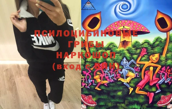 ECSTASY Белокуриха