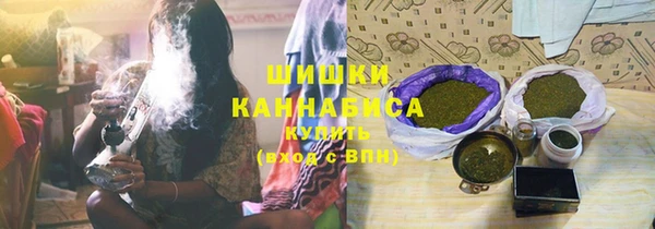 ГАЛЛЮЦИНОГЕННЫЕ ГРИБЫ Лиски